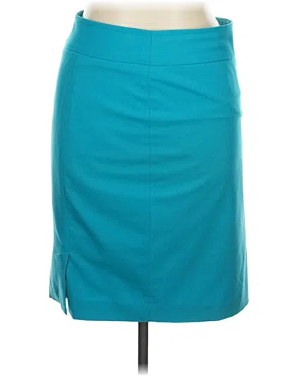 Pre-owned Liz Claiborne Casual Skirt In Blue