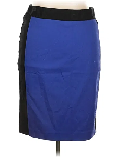 Pre-owned Liz Claiborne Casual Skirt In Blue