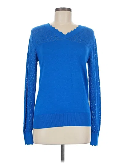 Pre-owned Liz Claiborne Pullover Sweater In Blue