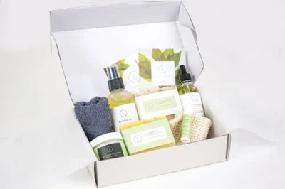 Lizush Fresh Earthy Natural Skincare Set For Men In Green Earthy Eucalyptus