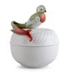 Lladrò Porcelain Quetzal Box