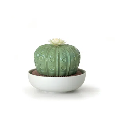 Lladrò Astrophytum Cactus Diffuser - Gardens Of Valencia In Green