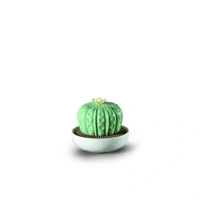 Lladrò Astrophytum Cactus Scent In Brown;white;pale Teal