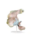 Lladrò Betta Fish Left Figurine In Multi