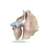 Lladrò Betta Fish Right Figurine In Multi