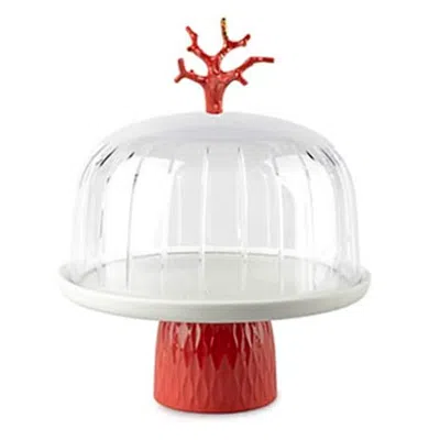 Lladrò Coral Cake Tray In White