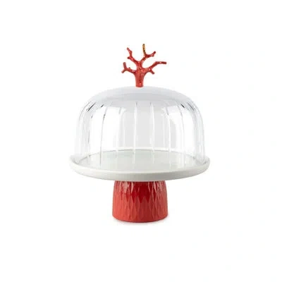 Lladrò Coral Cake Tray In White,red,gold