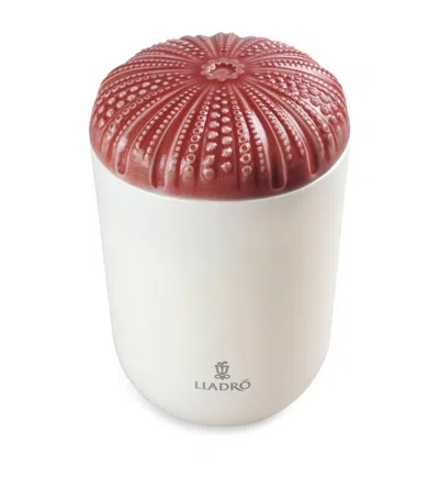 Lladrò Lladró Echoes Of Nature Unbreakable Spirit Scented Candle