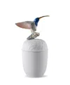 Lladrò Hummingbird Box In Multi