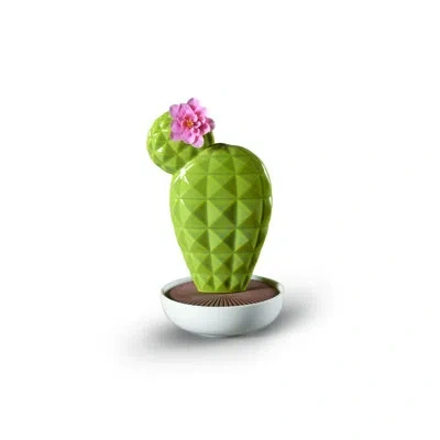 Lladrò Opuntia Cactus Gardens Of Valencia In Green