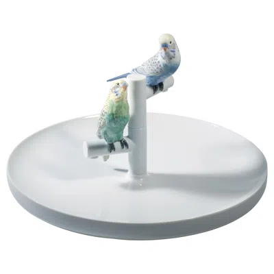 Pre-owned Lladrò Parrot Romance Plate In Gray