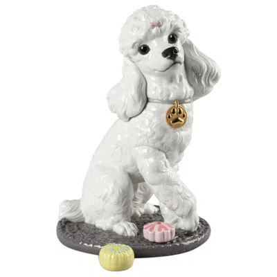 Pre-owned Lladrò Lladró Poodle With Mochis Dog Figurine In Gray