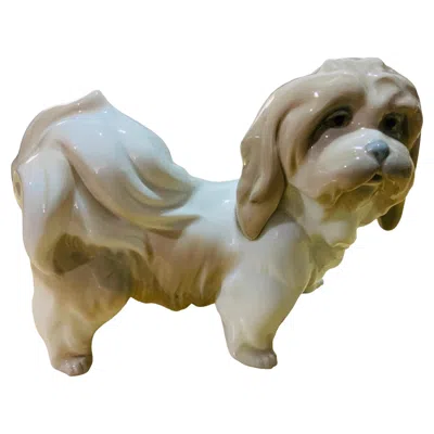 Pre-owned Lladrò Lladro Porcelain Figurine Of A Lhasa Apso Dog In Brown
