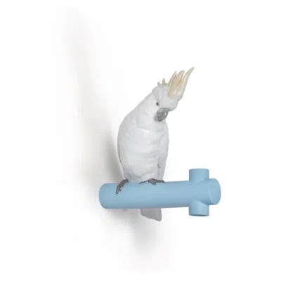 Lladrò The Parrot Party Porcelain Wall Hook In White/blue