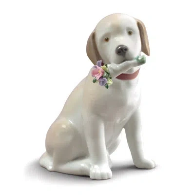 Lladrò This Bouquet Is For You Dog Figurine In Brown,white