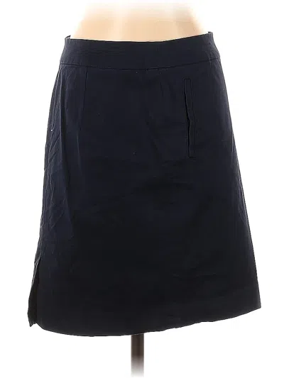 Pre-owned L.l.bean Casual Skirt In Blue