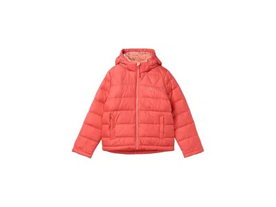 L.l.bean Down Jacket (big Kid) Kid's Coat Reef Coral : Sm (8 Big Kid), Down/nylon/polyester