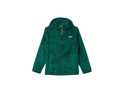 L.l.bean Hi-pile Fleece (big Kid) Kid's Clothing Antique Green : Xl (18 Big Kid), Polyester/fleece