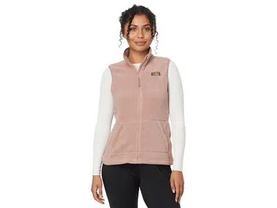 L.l.bean Mountain Classic Fleece Vest In Neutral