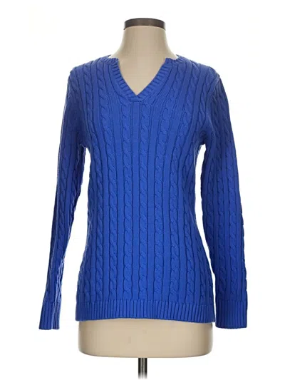 Pre-owned L.l.bean Pullover Sweater In Blue