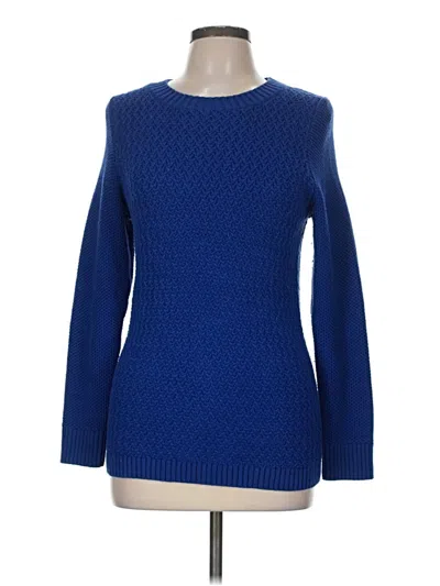 Pre-owned L.l.bean Pullover Sweater In Blue
