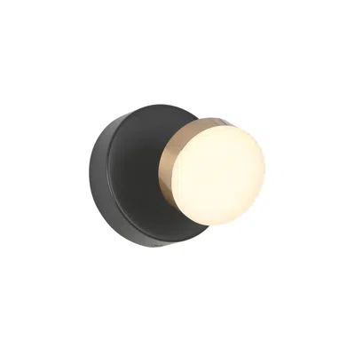 L.n.c. 1-light Black And Brass Integrated Led Vanity Light