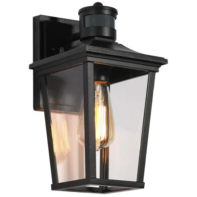 L.n.c. Aotelas 12" High Black Glass Outdoor Wall Light