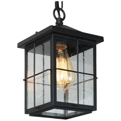 L.n.c. Bioeasdera 11 1/2" High Frosted Black Outdoor Hanging Light