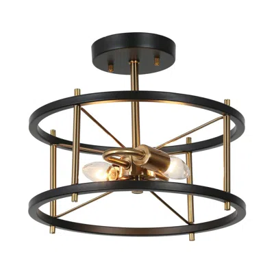 L.n.c. Lerwickiss 12" Wide Black And Brass 2-light Ceiling Light