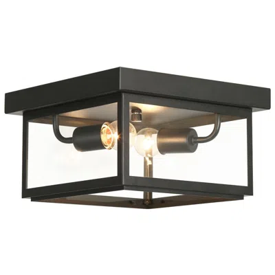 L.n.c. Lnc Melansa 11" Wide  2-light Black Outdoor Ceiling Light