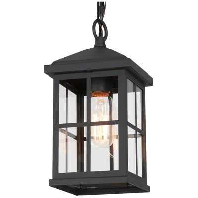 L.n.c. Stan 10.6" High Black Glass Outdoor Hanging Light
