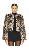 Loba Purrla Faux Fur Jacket In Leopard