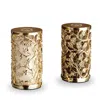 L'objet Lorel Salt & Pepper Shakers, Set Of 2 In Gold