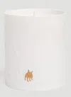 L'objet Haas Mojave Palm Candle In White