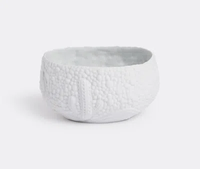 L'objet Tableware White Uni
