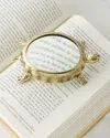 L'objet Turtle Magnifying Glass In Brassclear