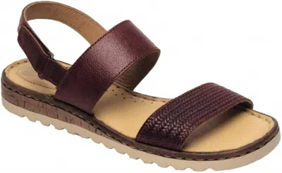 Lobo Solo Women's 1865 Sandal In Wine In Brown