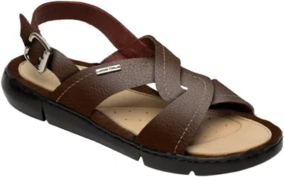 Lobo Solo Women's 1883 Sandal In Brown