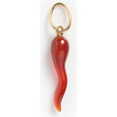 Local Eclectic Red Agate Amulet Charm