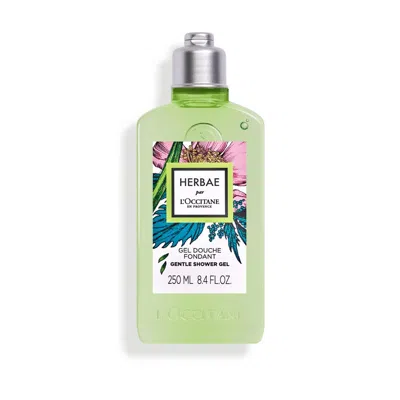 L'occitane - Herbae Gentle Shower Gel 8.4 Fl oz In White