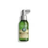 L'occitane - Volume & Strength Strengthening Scalp Serum 3.3 Fl oz