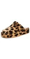 Loeffler Randall Haven Casual Clogs Leopard In Leopard