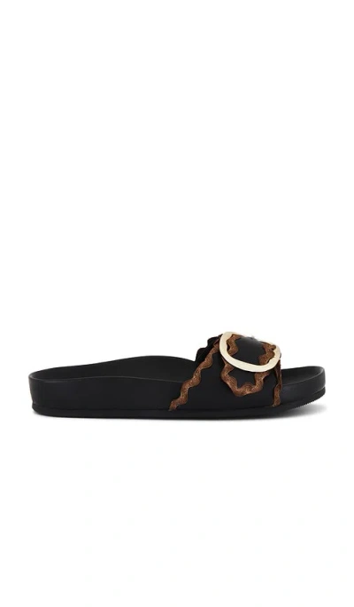 Loeffler Randall Iris Slide Sandal In Black/cacao