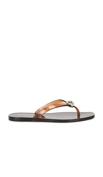 Loeffler Randall Jovie Jelly Flip Flop In Brown
