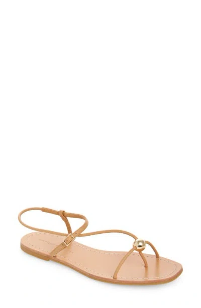 Loeffler Randall Lara Ankle Strap Sandal In Dune