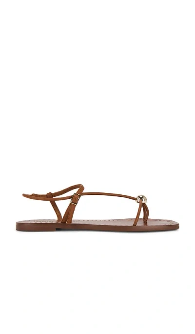 Loeffler Randall Lara Strappy Flat Sandal In Brown