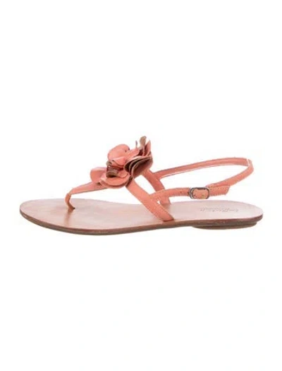 Pre-owned Loeffler Randall Leather T-strap Sandals In Pink