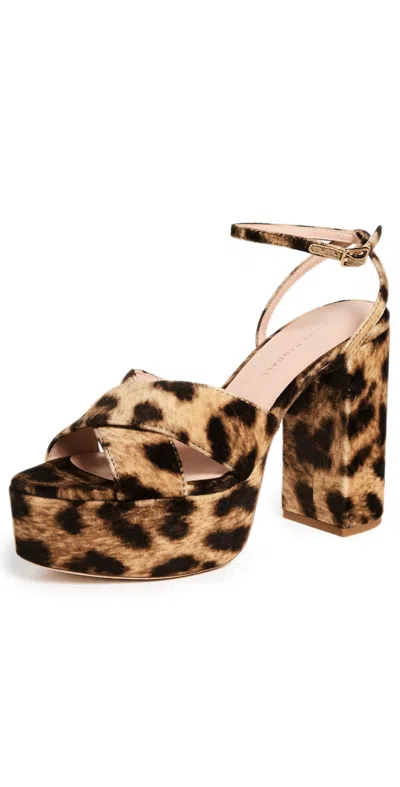 Loeffler Randall Loretta Platform Sandals Leopard