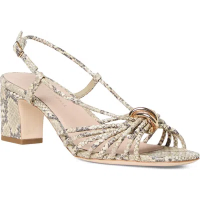 Loeffler Randall 55mm Minna Strappy Snake-embossed Leather Sandals In Gold