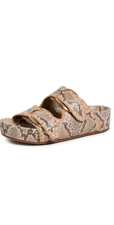 Loeffler Randall Nico Two Band Sandals Snake/natural In Brown